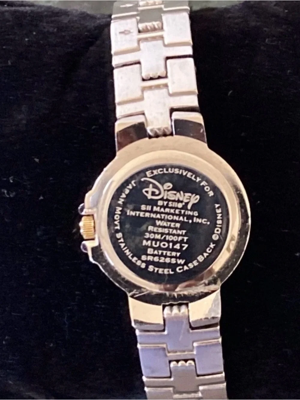 Winnie the Pooh & Tigger Two-Tone Character Watch